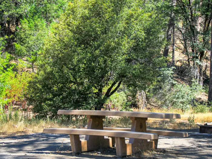 Mill Valley Campground — Campsite at Mill Valley Campground