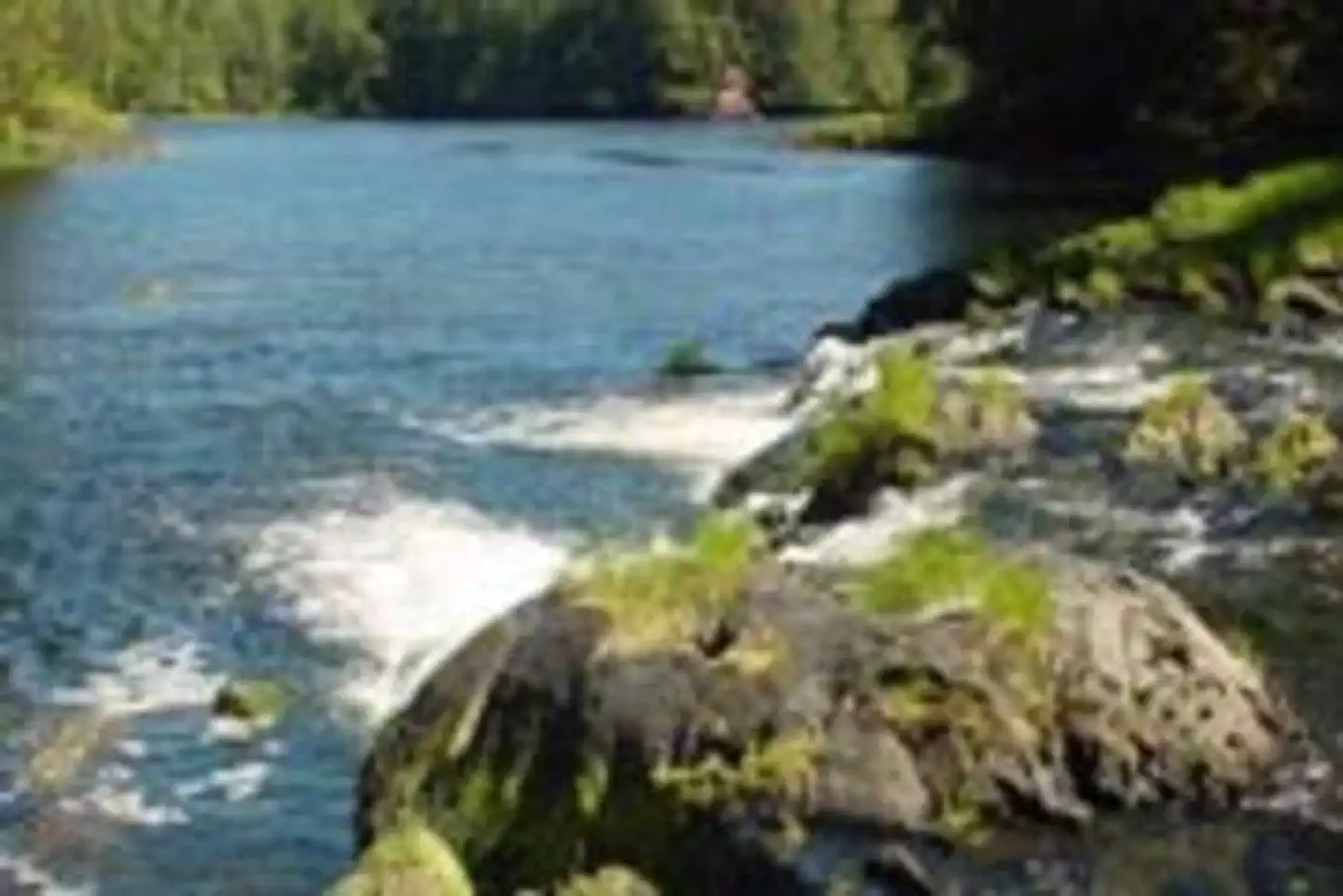 Kegan Cove Cabin — KEGAN COVE CABIN