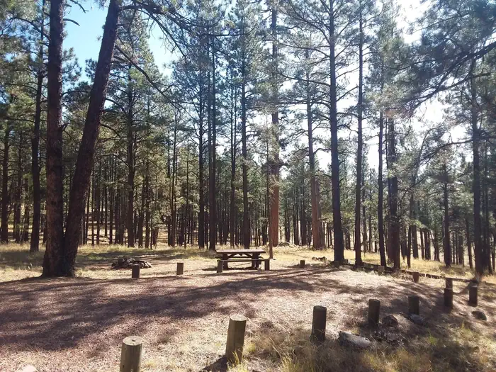 Luna Lake — Luna Lake Site 27