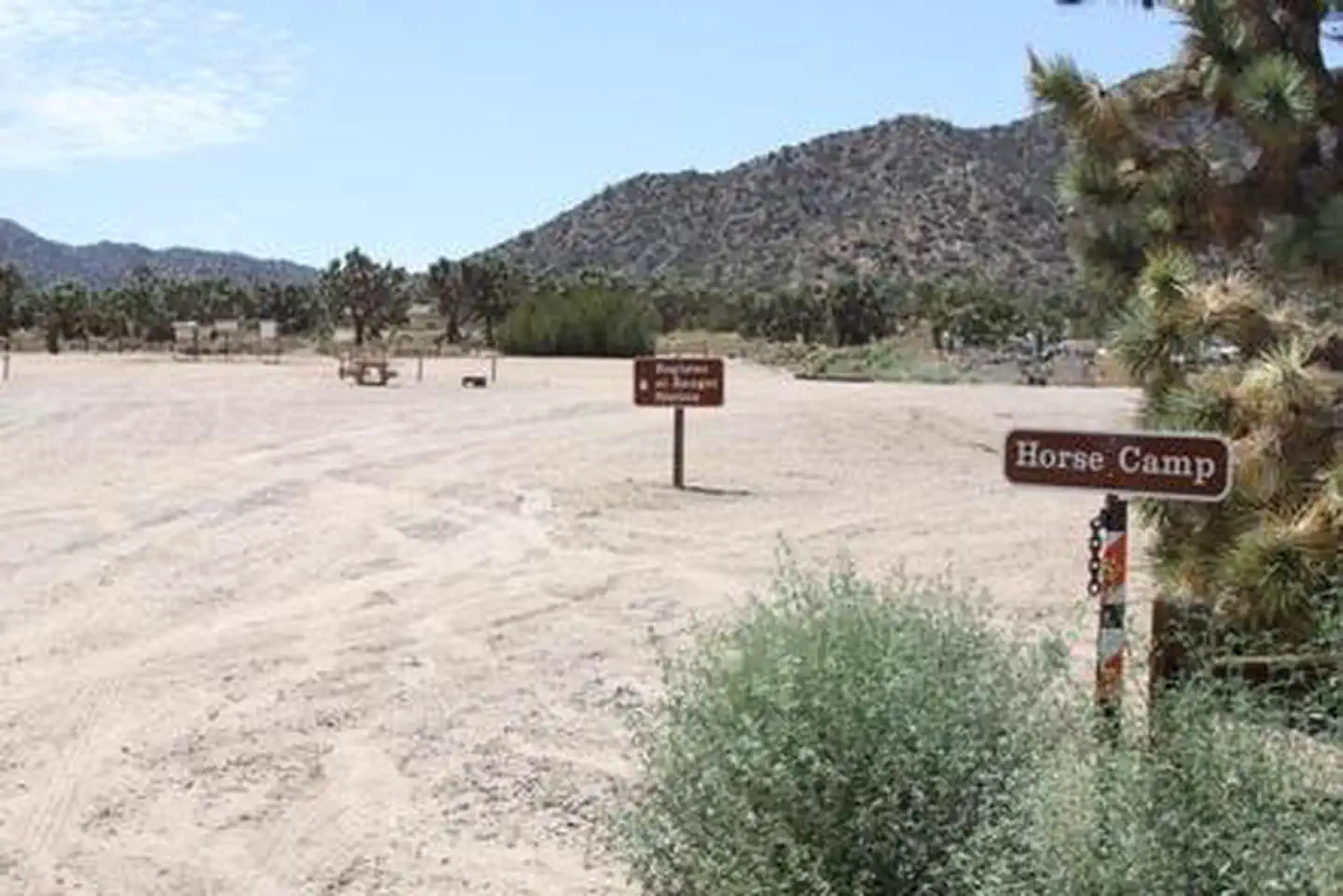 Black Rock Campground - Joshua Tree — BLACK ROCK EQUESTRIAN CAMPGROUND