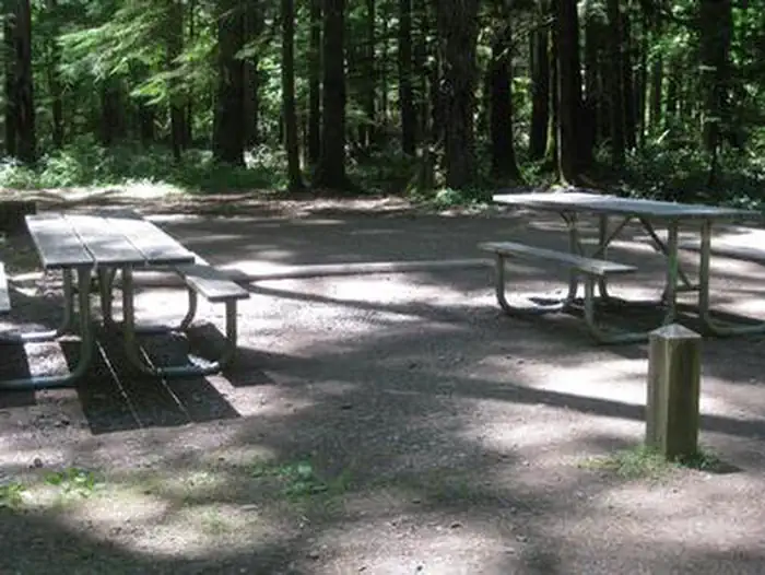 Panther Creek Campground — Panther Creek campground picnic tables