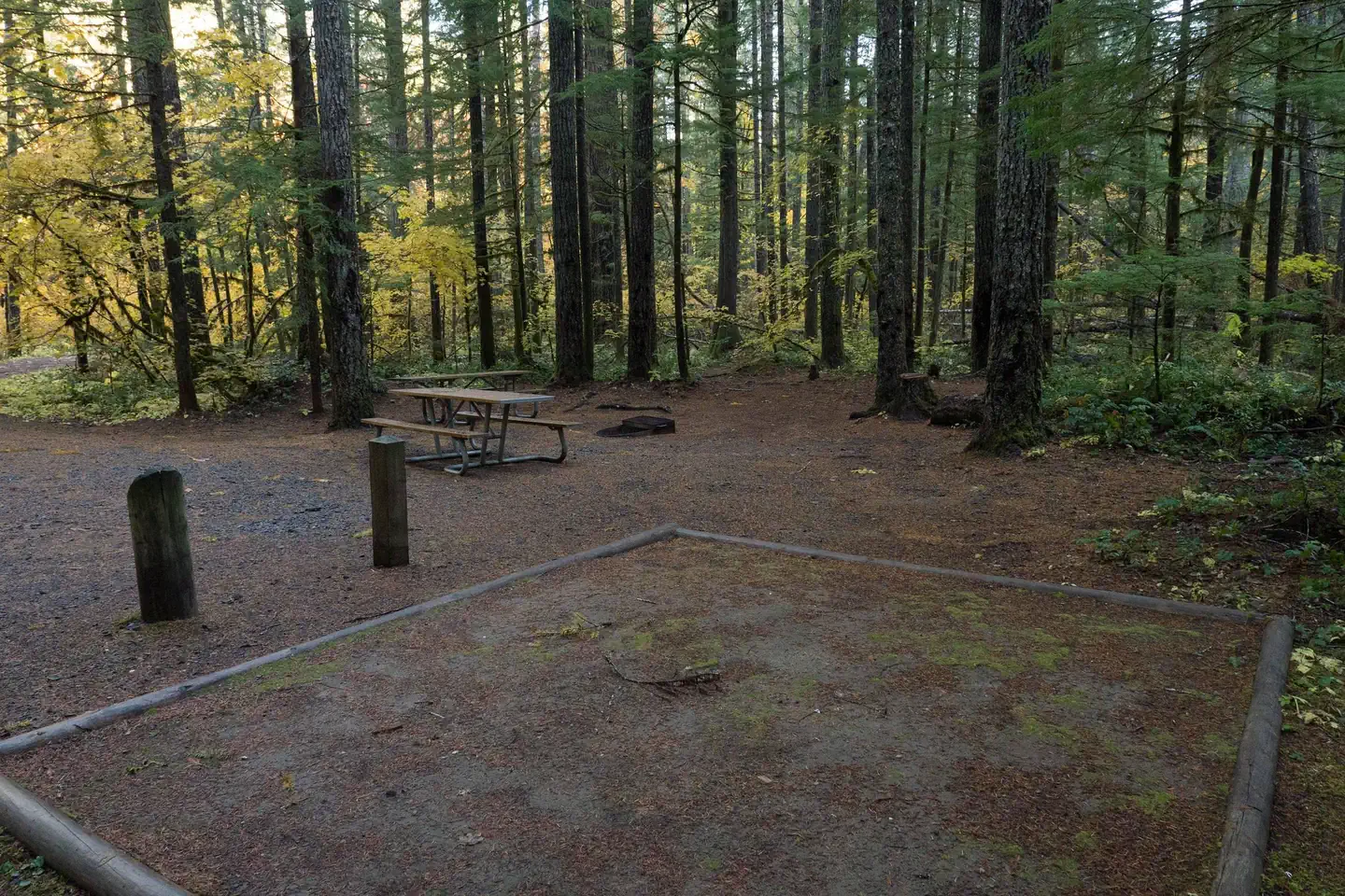 Panther Creek Campground — Panther Creek Campsite tent pad