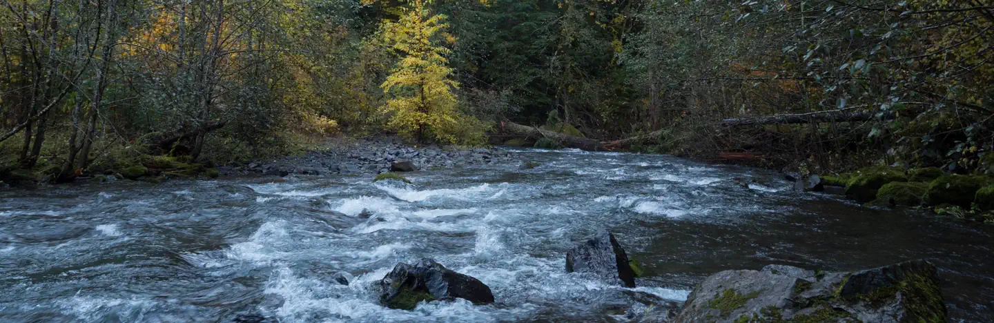 Panther Creek Campground — Panther Creek