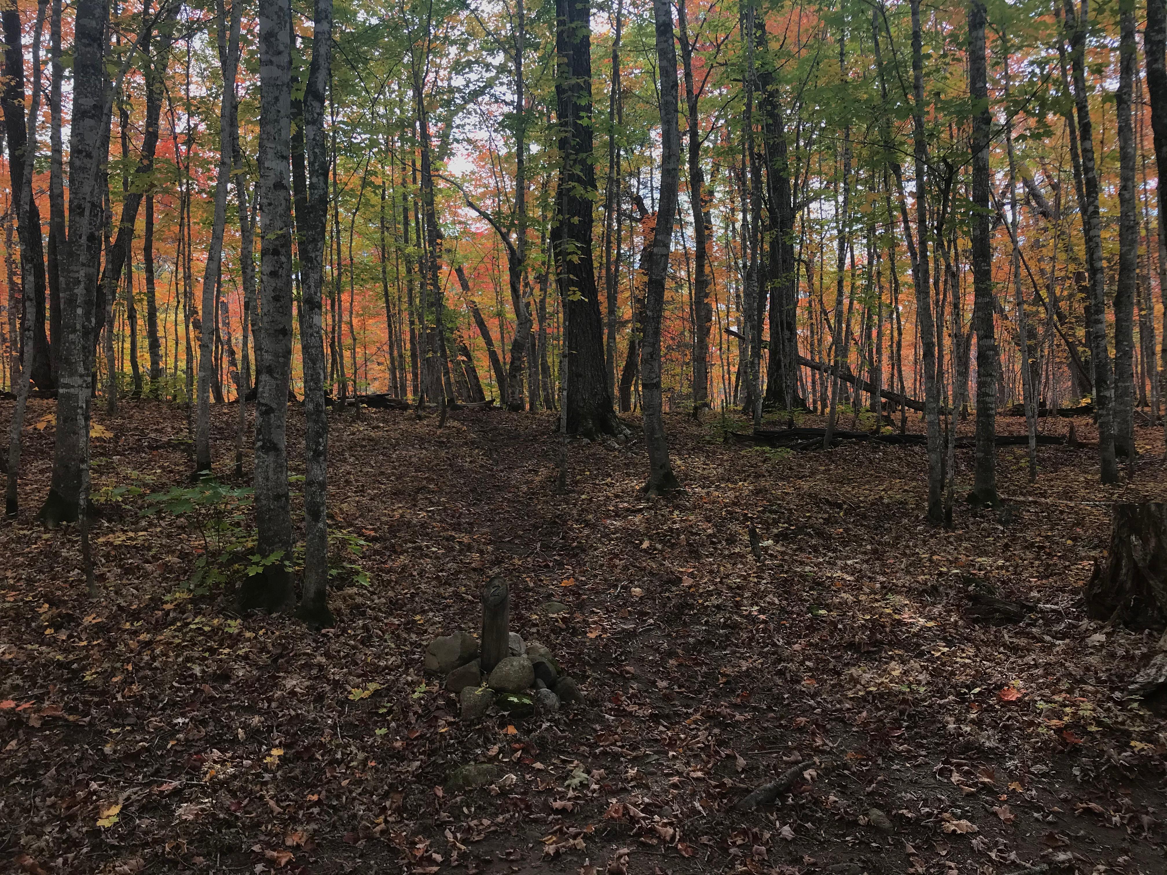 Island Mine Campground