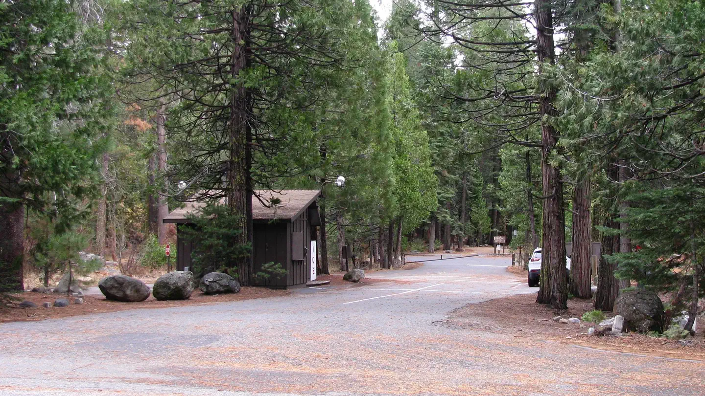 Pinecrest Campground