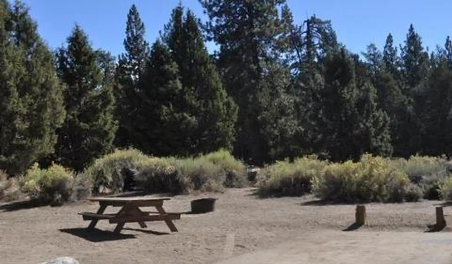 Serrano — Serrano Campground picnic table