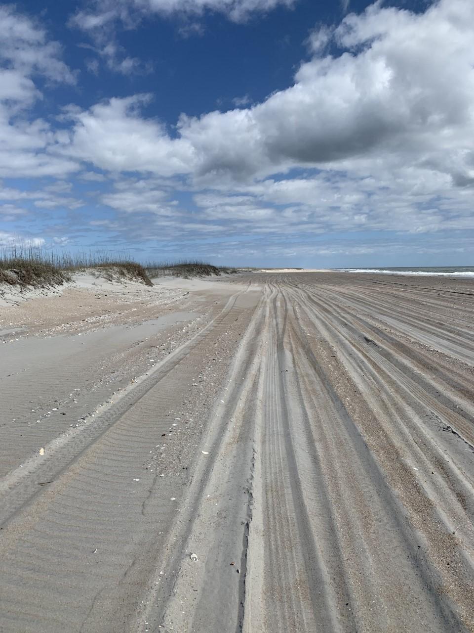 South Core Banks -- Beach Camping — South Core Banks -- camping area