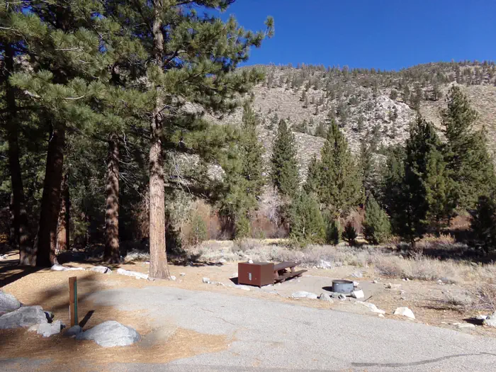 Big Pine Creek Campground — Big Pine Creek Campground campsite.