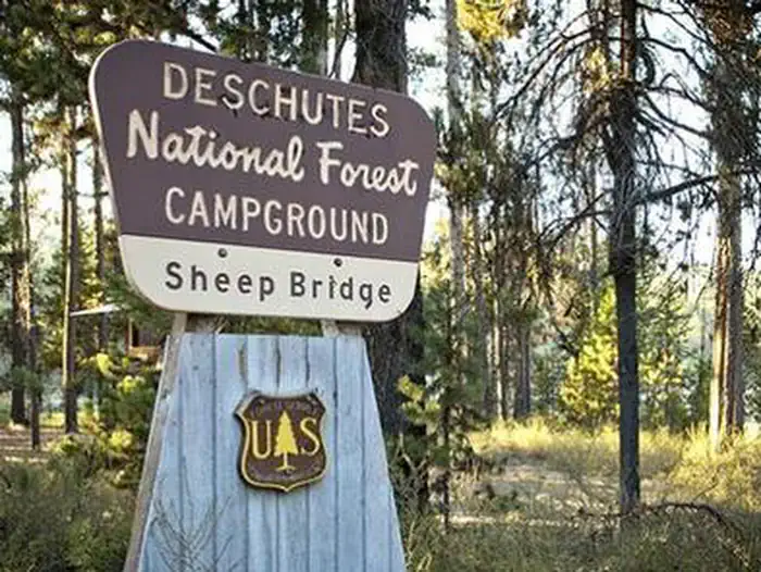 Sheep Bridge — SHEEP BRIDGE