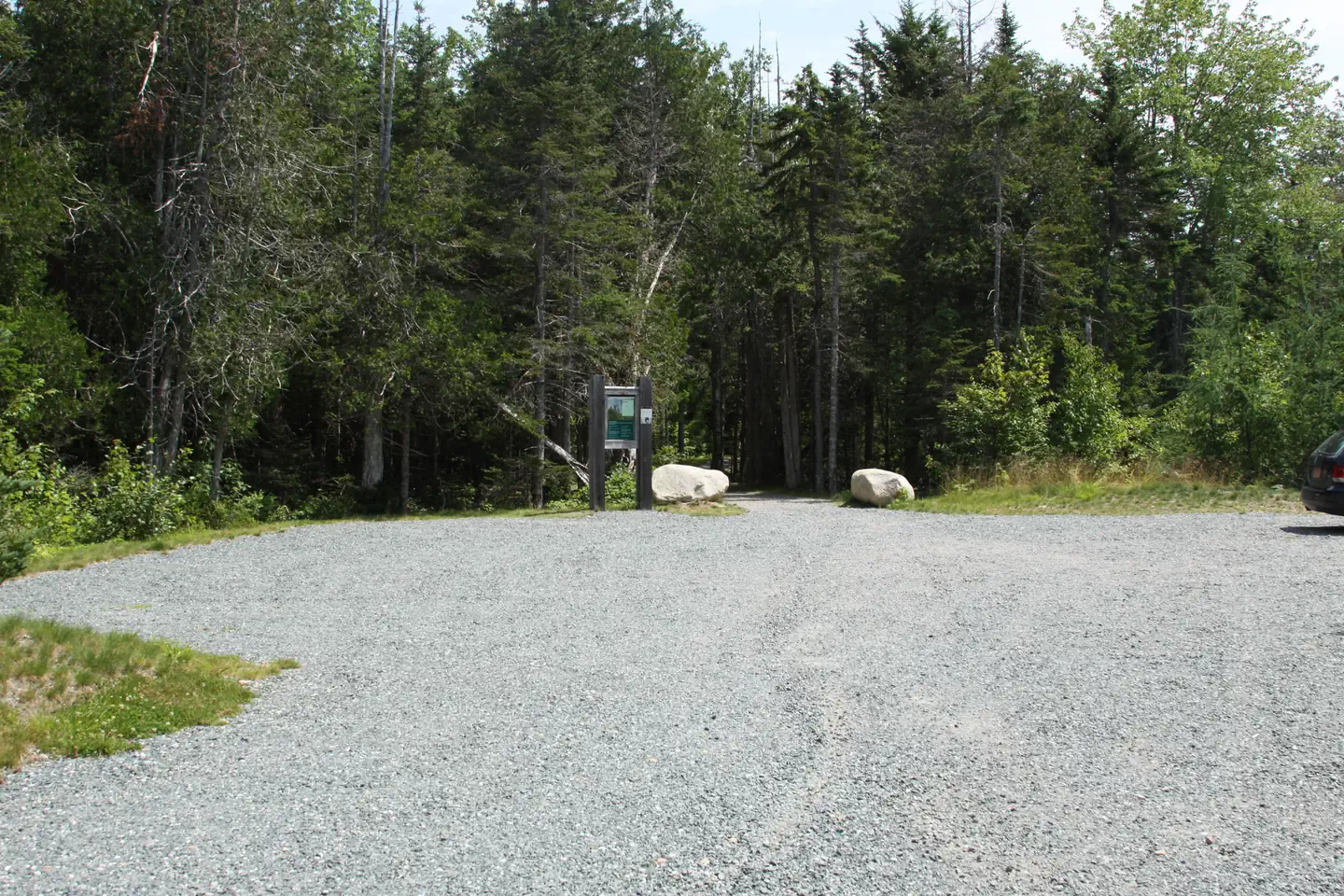 Schoodic Woods Campground — Gravel parking lot surrounded by spruce and pine trees.