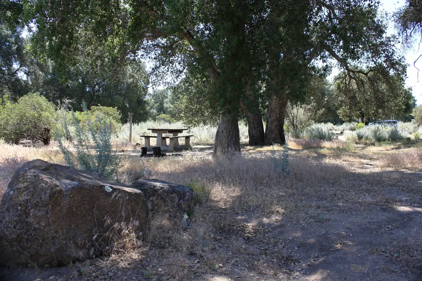 Boulder Oaks Eqst — Shaded campsite