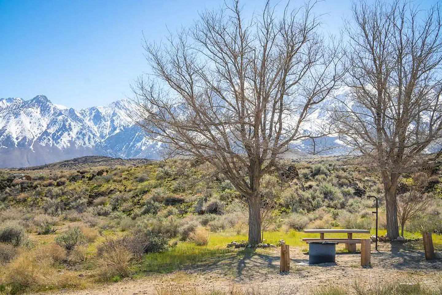 Goodale Creek Campground — Goodale Campground