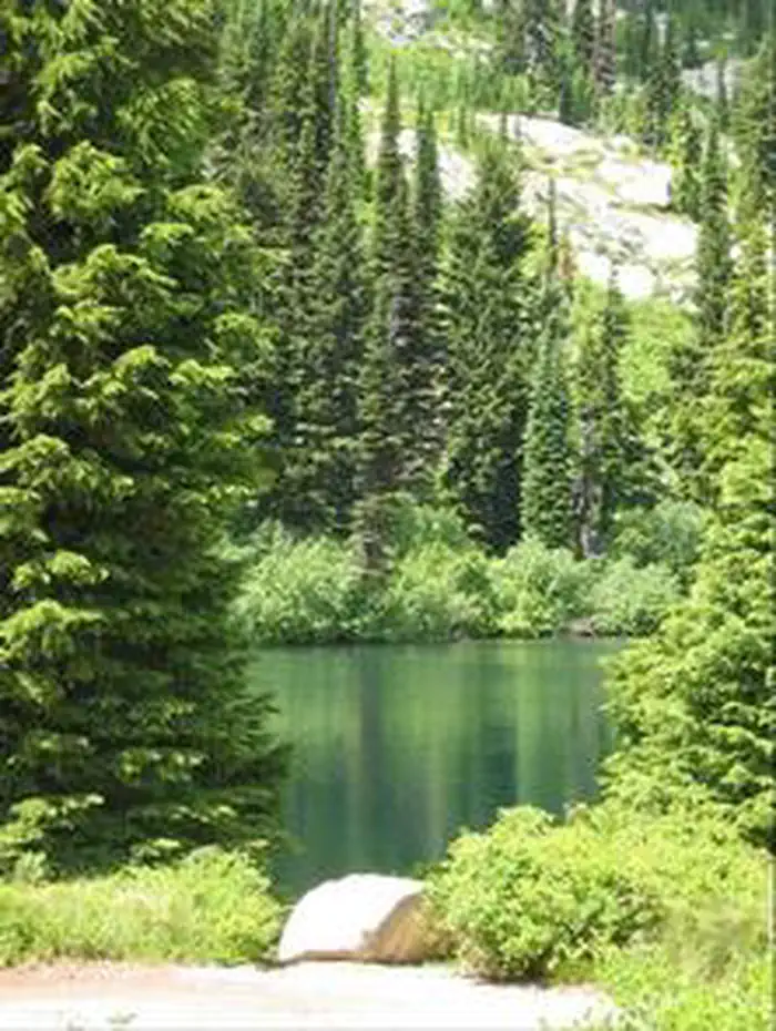 Liz Butte Cabin — LIZ BUTTE CABIN