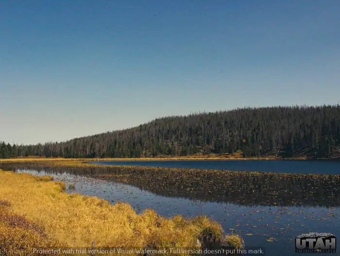 Bridger Lake Campground — Bridger Lake CG
