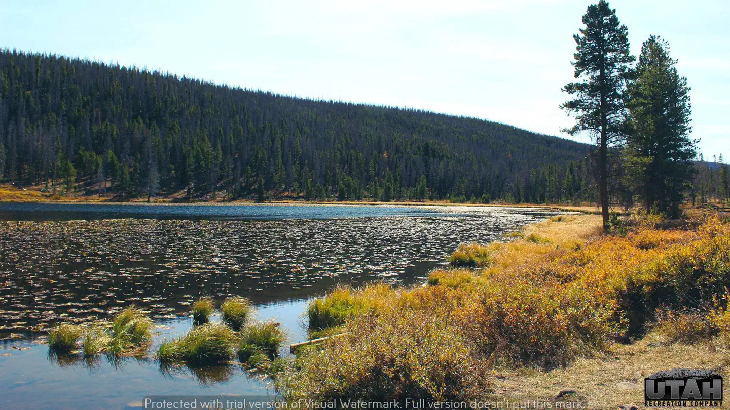 Bridger Lake Campground