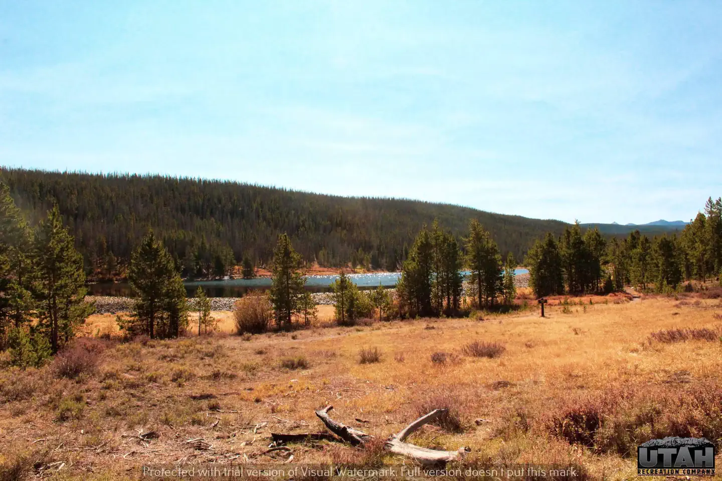 Bridger Lake Campground — Bridger Lake view