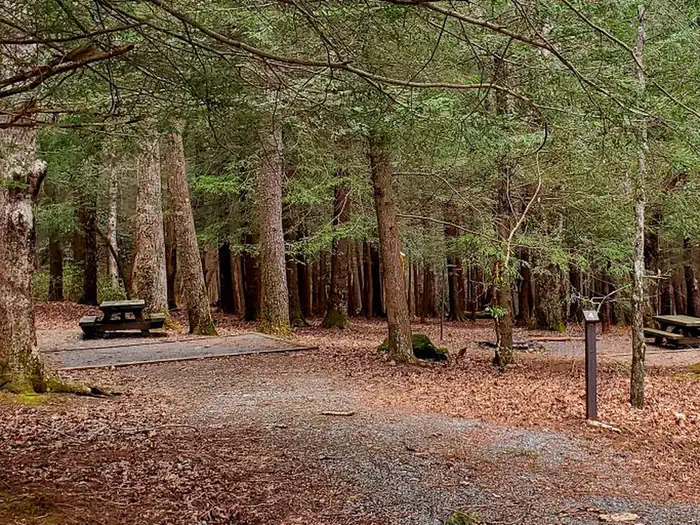 Lake Conasauga Overflow — Overflow campsites