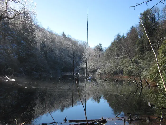 Lake Conasauga Overflow — Lake Conasauga Overflow
