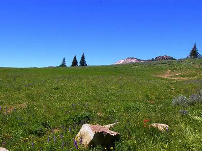 Thompson Flat — Mountain scape