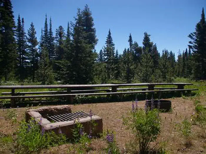 Thompson Flat — Loops