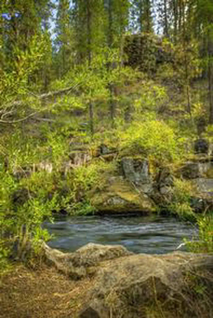Lower Canyon Creek Campground — LOWER CANYON CREEK CAMPGROUND