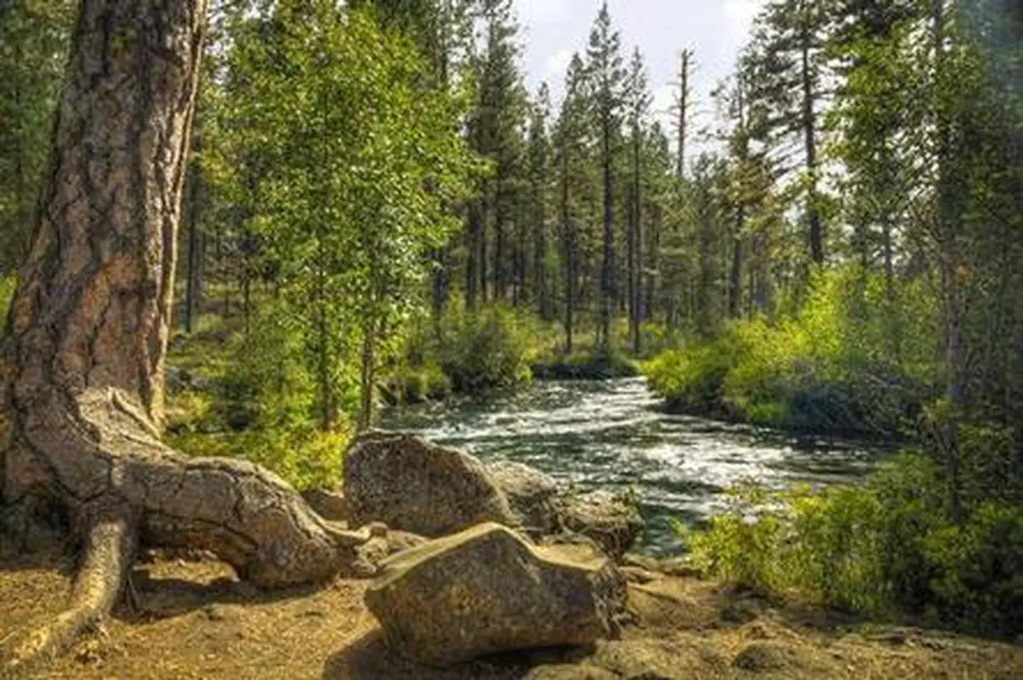 Lower Canyon Creek Campground — LOWER CANYON CREEK CAMPGROUND