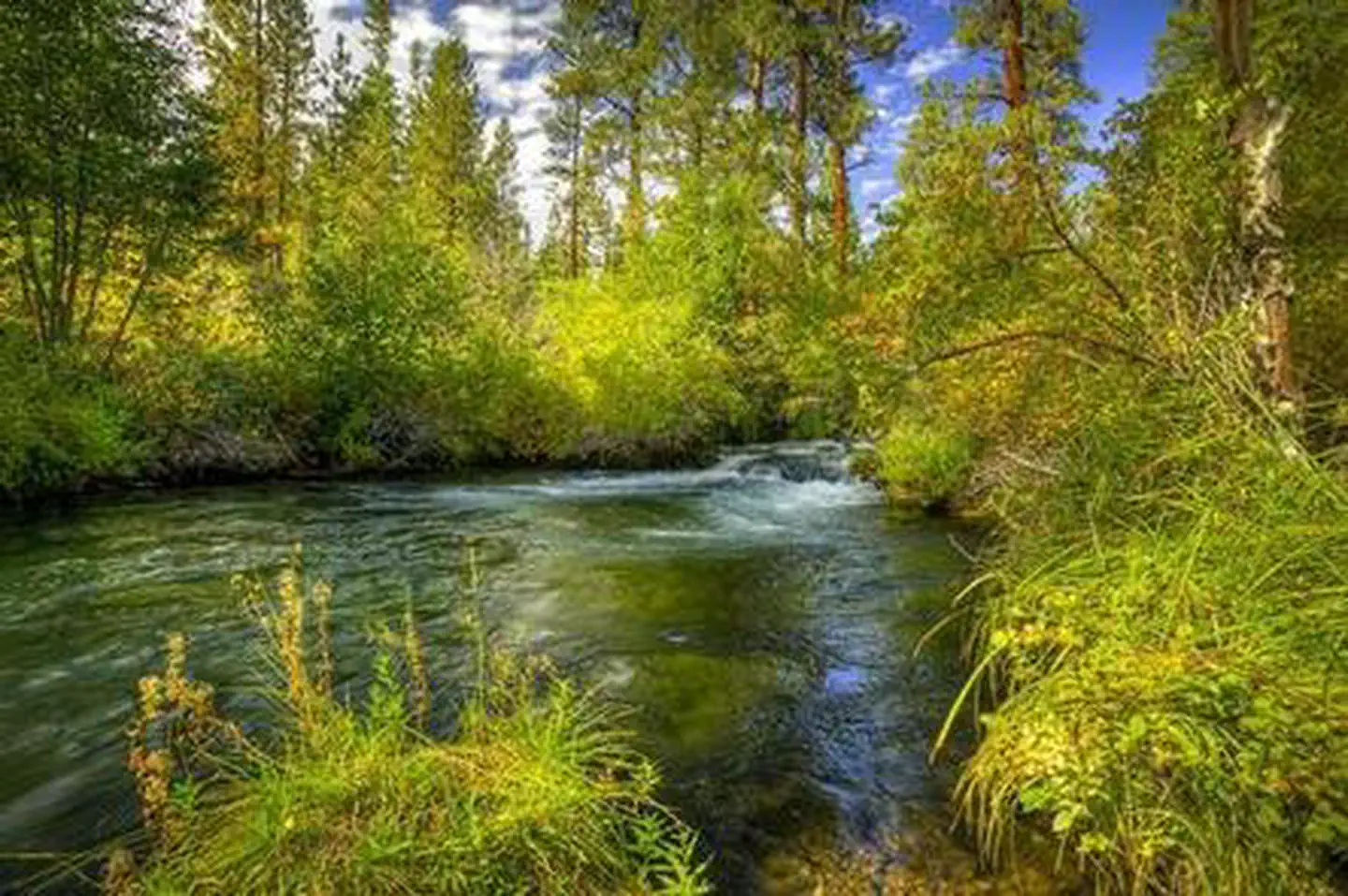 Lower Canyon Creek Campground — LOWER CANYON CREEK CAMPGROUND