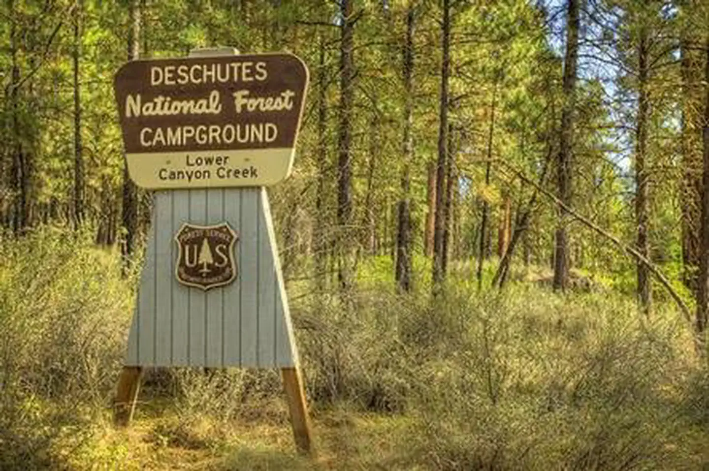 Lower Canyon Creek Campground — LOWER CANYON CREEK CAMPGROUND