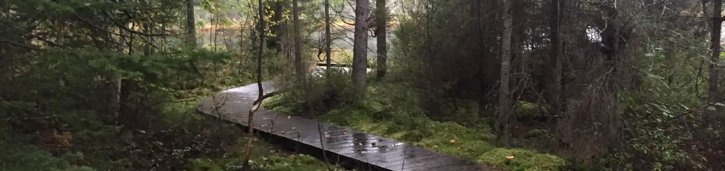 Twin Lakes (wi)