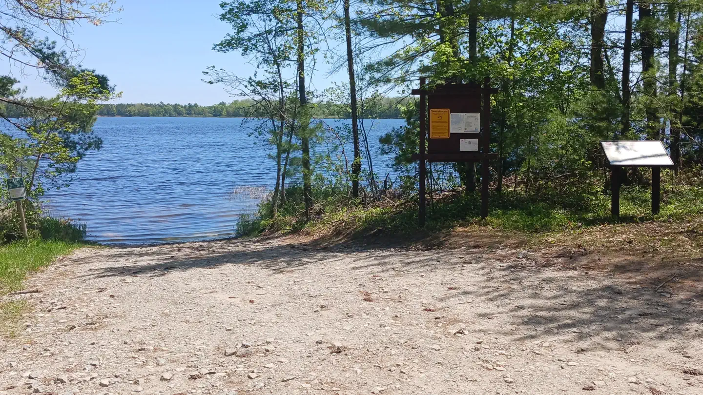 Steuben Lake Dispersed Campsite