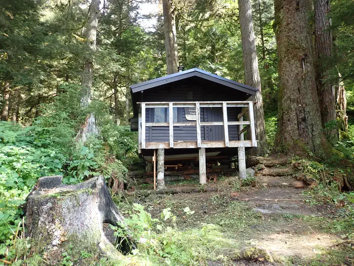 Wilson View Cabin — Wilson View