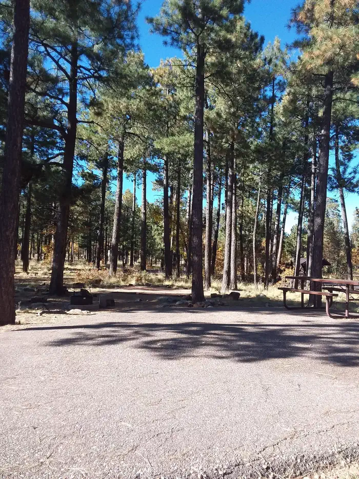 Crook Campground — Crook Campground Loop A Site 1