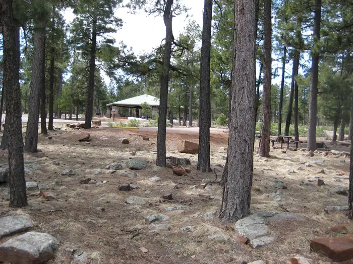 Crook Campground — Crook Group Campground