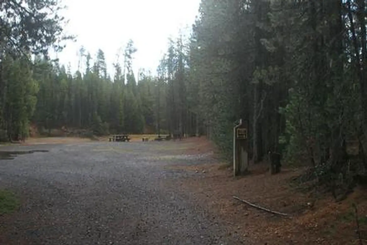 Poole Creek — POOLE CREEK