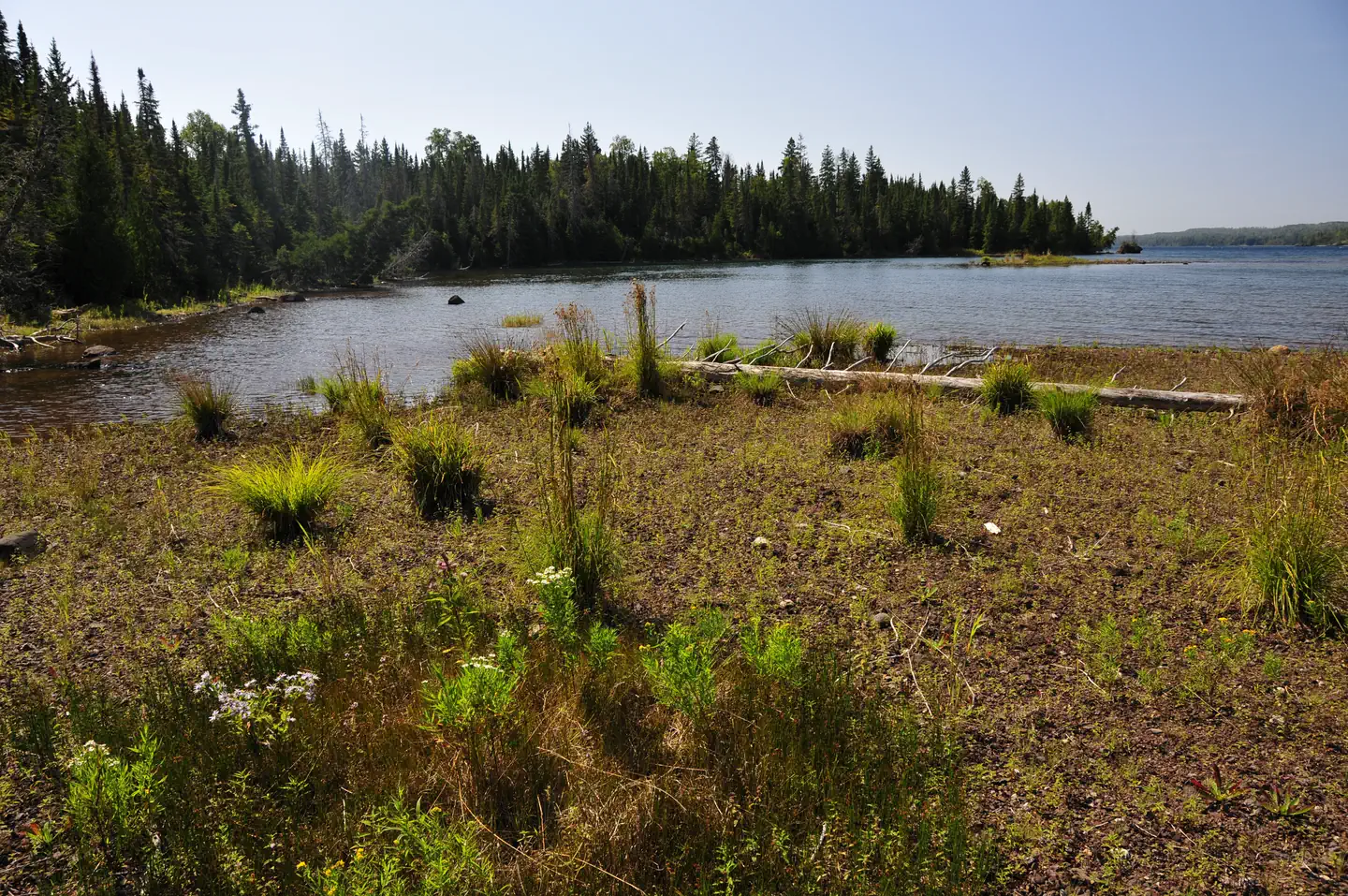 Caribou Island Campground — View of West Caribou Island