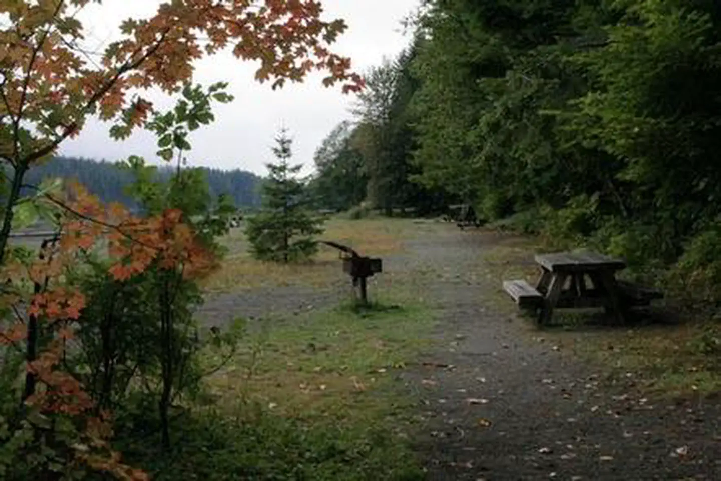 Horseshoe Cove Campground — Horseshoe Cove Campground