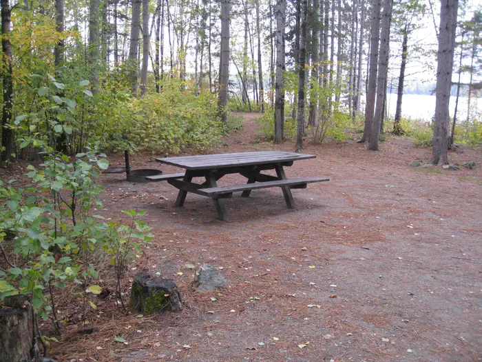 Birch Lake Campground — Picture of picnic table and fire ring.