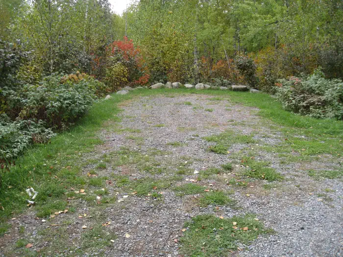 Birch Lake Campground — Picture of camping spur.