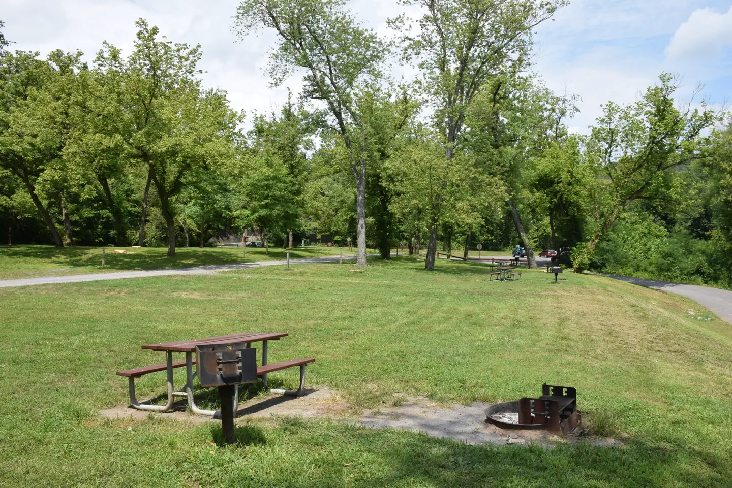 Fifteen Mile Creek Campsite — Single Campsite with a picnic table, fire ring and grill in the foreground.