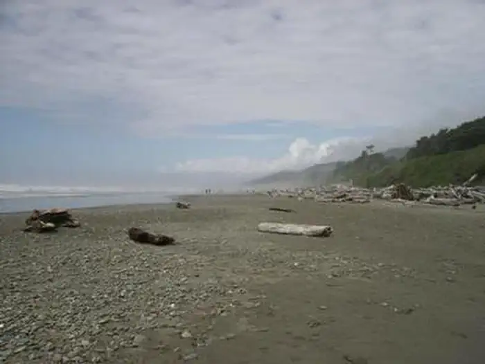 Kalaloch Campground — A long stretch of beach at Kalaloch Campground. The beach is comprised of sand and small rocks. Large amounts of driftwood litter the coastline.