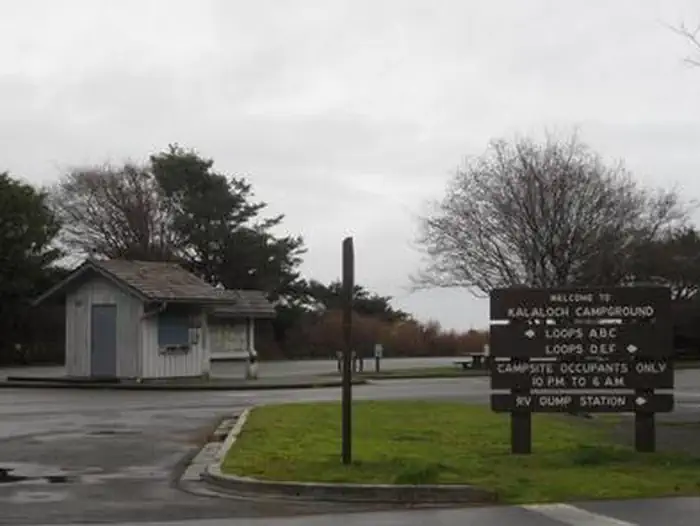Kalaloch Campground — The entrance to Kalaloch Campground, with signs directing right to A, B, and C loops, and left to D, E, F loops and the dump station.