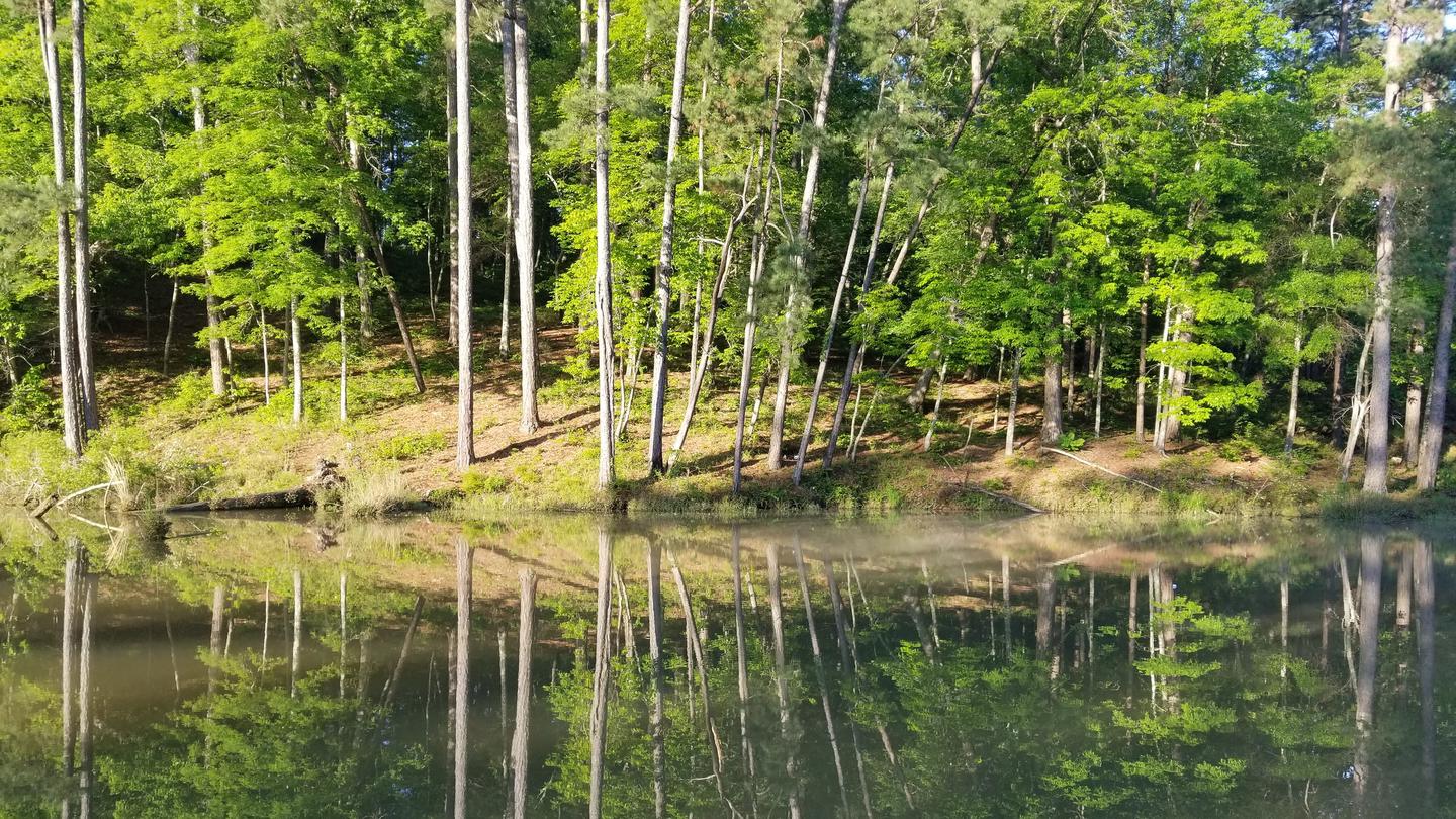 Clear Springs Recreation Area