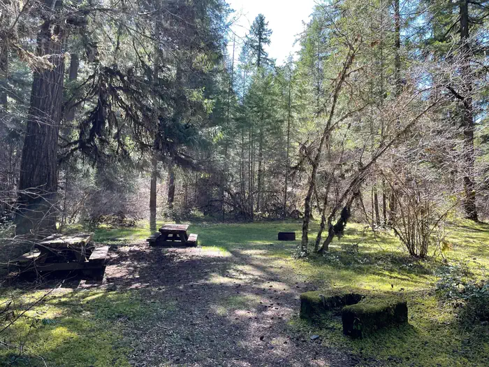 Sand Prairie Campground — Two wooden picnic tables and two stone fire pits in a shaded, grassy area.