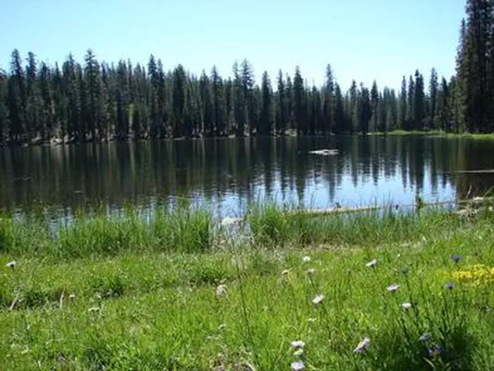 Summit Lake Stock Corral — SUMMIT LAKE WITH MEADOW