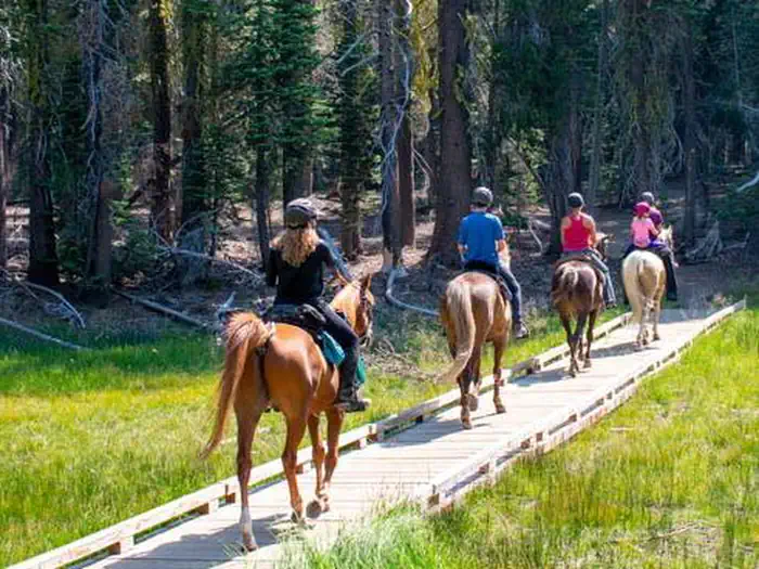 Summit Lake Stock Corral — Horseback riders at Summit Lake Trailhead