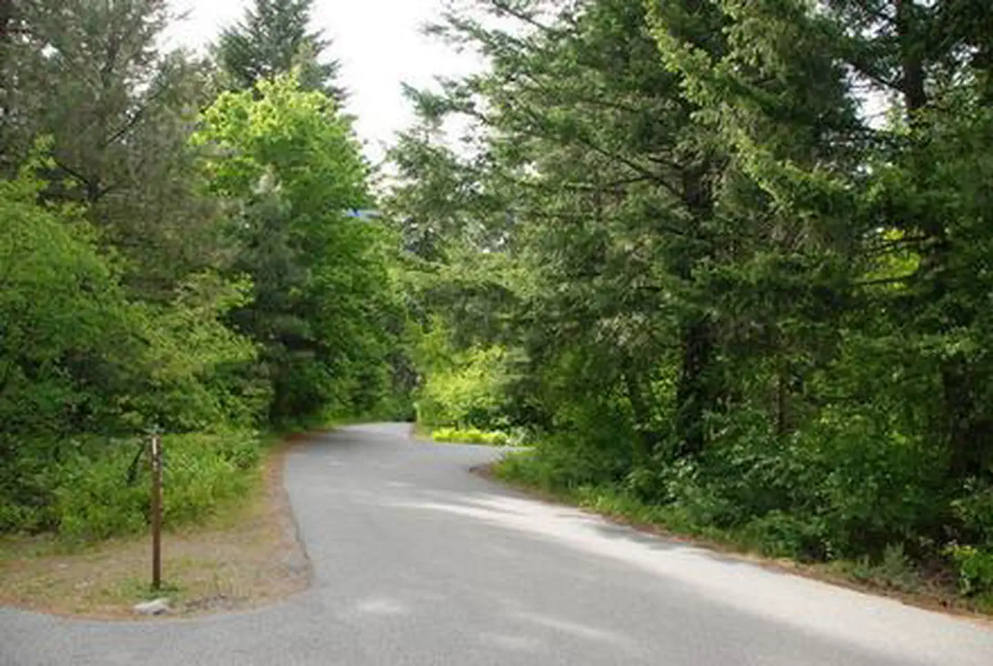 Eightmile Group Site — EIGHTMILE GROUP SITE