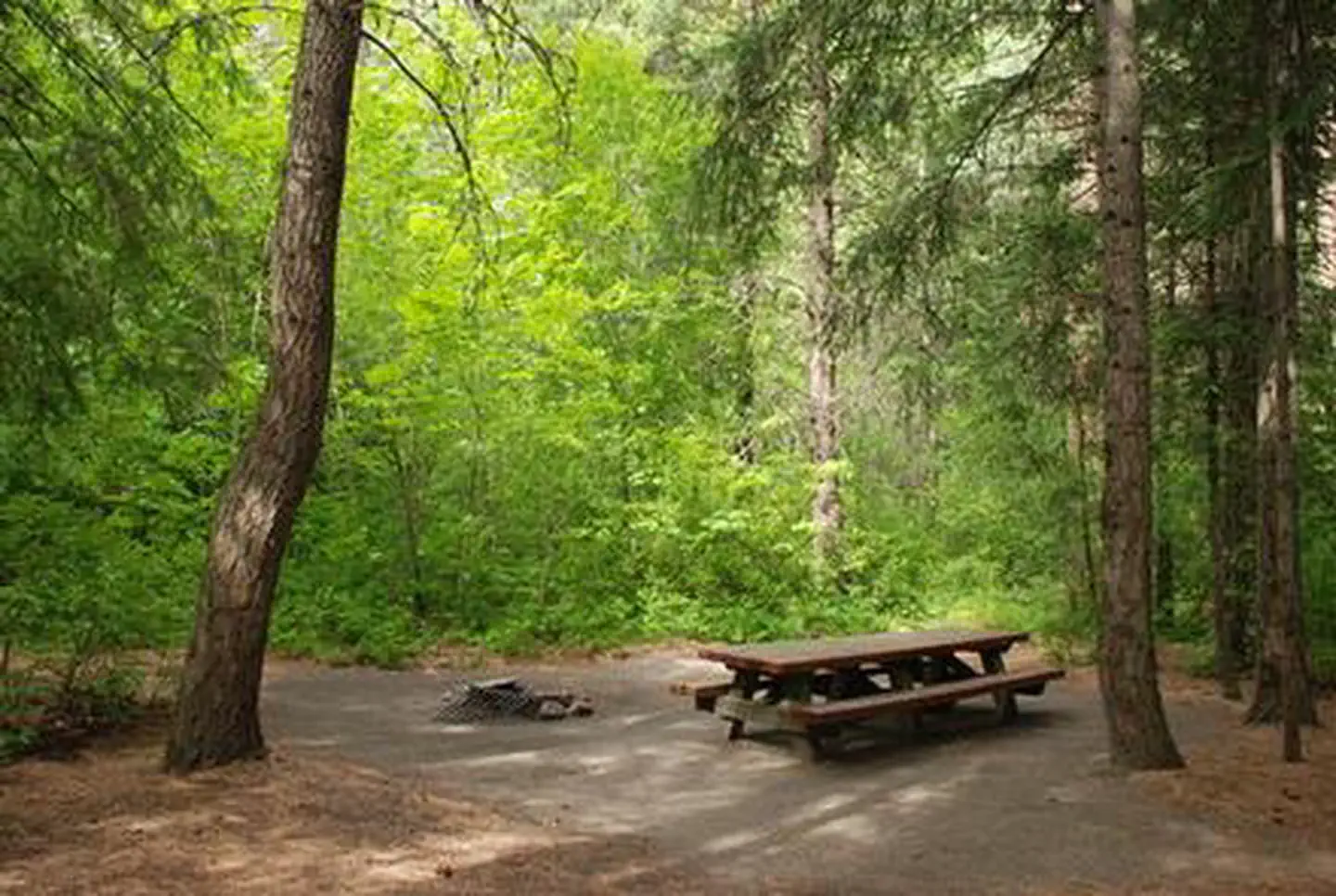 Eightmile Group Site — EIGHTMILE GROUP SITE