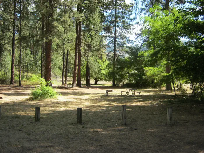 Haag Cove Campground — Haag Cove Campground trees in the background