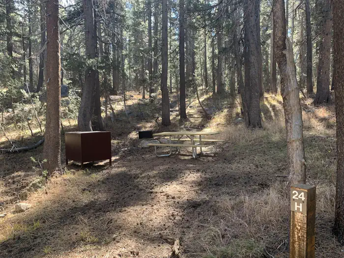Tuolumne Meadows Campground — Tuolumne campsite 24H