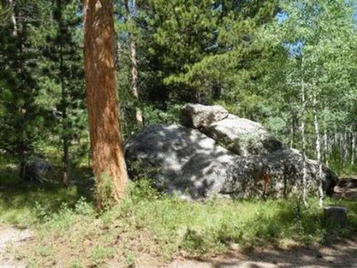 Olive Ridge — OLIVE RIDGE5